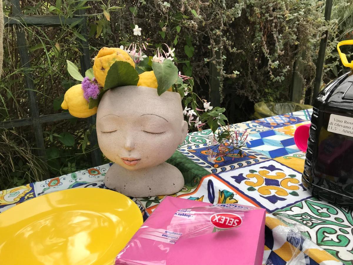 La Gallina Felice B&B เมตา ภายนอก รูปภาพ