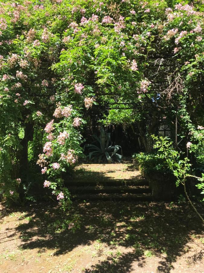 La Gallina Felice B&B เมตา ภายนอก รูปภาพ