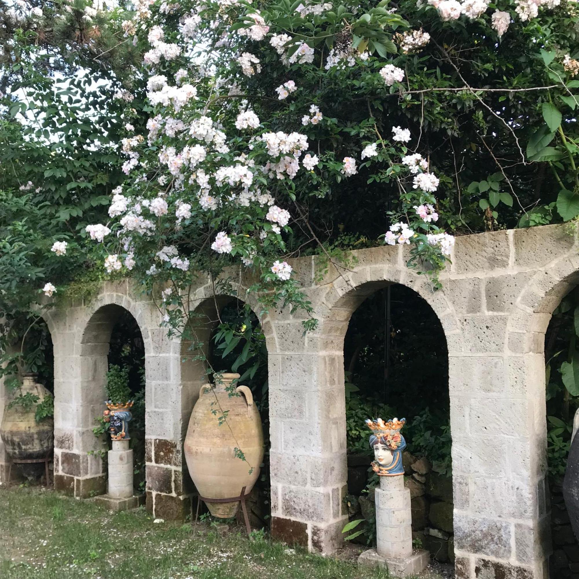 La Gallina Felice B&B เมตา ภายนอก รูปภาพ
