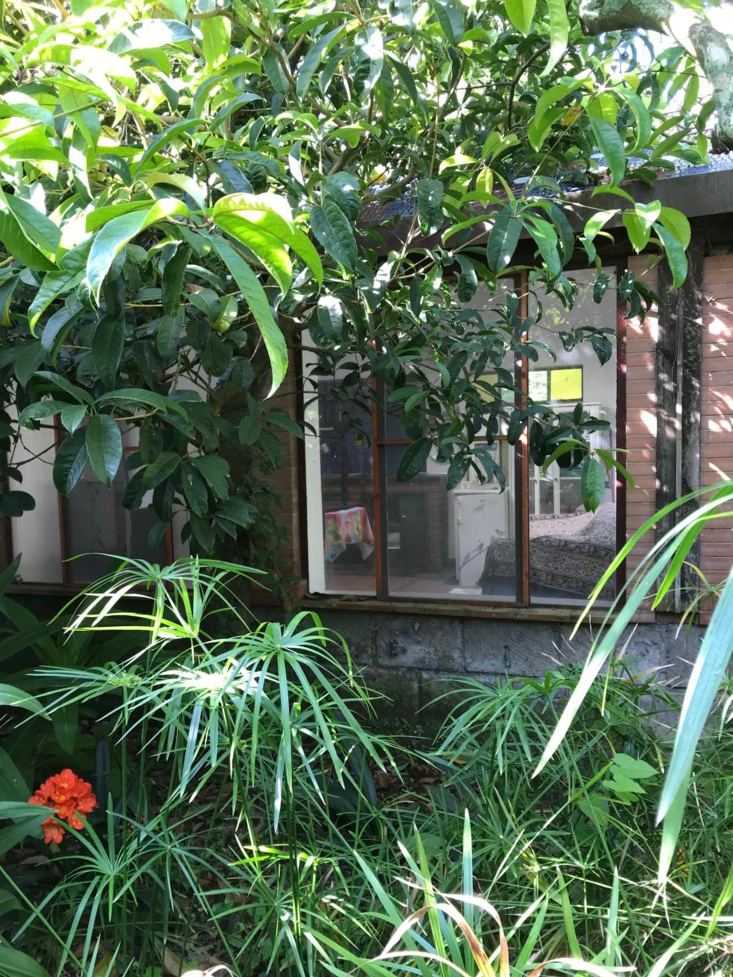 La Gallina Felice B&B เมตา ภายนอก รูปภาพ
