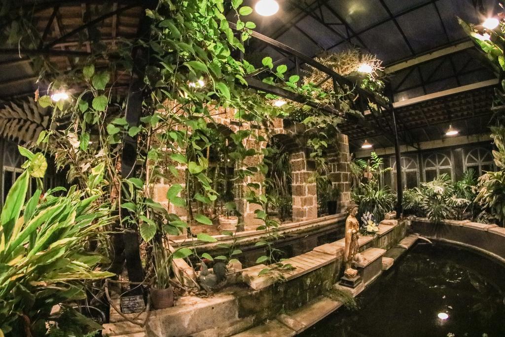 La Gallina Felice B&B เมตา ภายนอก รูปภาพ