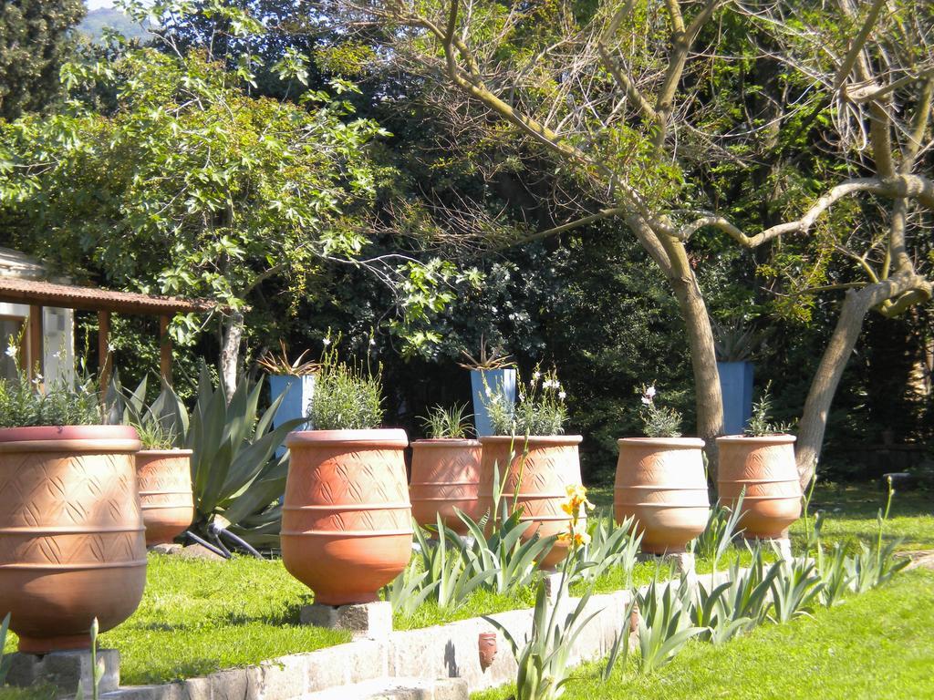 La Gallina Felice B&B เมตา ภายนอก รูปภาพ