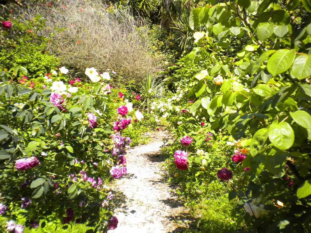 La Gallina Felice B&B เมตา ภายนอก รูปภาพ