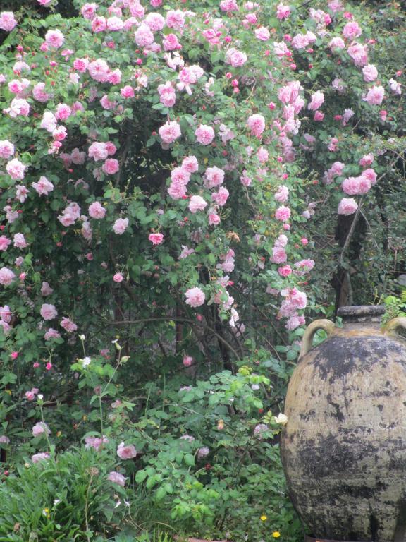 La Gallina Felice B&B เมตา ภายนอก รูปภาพ