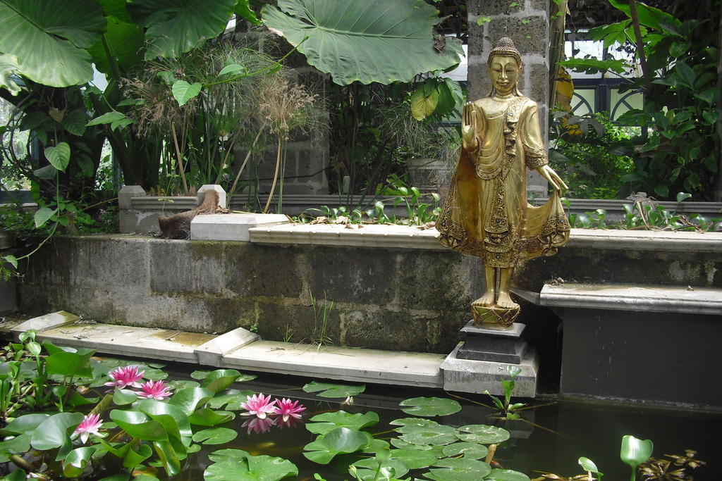 La Gallina Felice B&B เมตา ภายนอก รูปภาพ